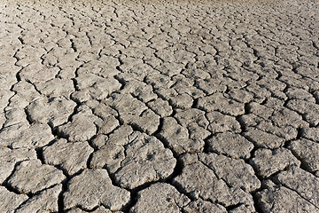 Image showing Cracked soil surface of dried lake