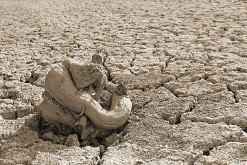 Image showing Dry tree root on the dried soil, sepia