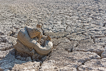 Image showing Dry tree root on the dried soil