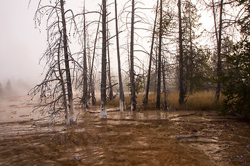 Image showing Yellowstone National Park, Utah, USA