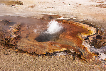 Image showing Yellowstone National Park, Utah, USA