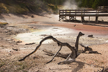 Image showing Yellowstone National Park, Utah, USA