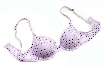 Image showing Bra