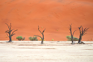 Image showing Sossusvlei, Namibia