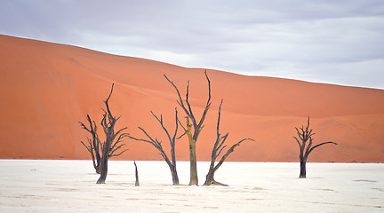 Image showing Sossusvlei, Namibia