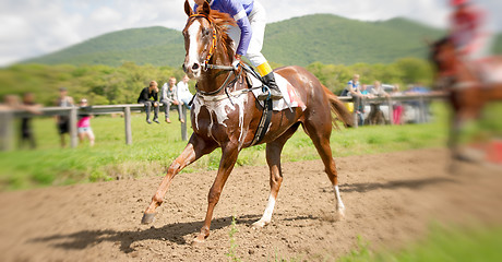 Image showing racing horse portrait in action