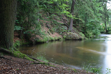 Image showing czech forest