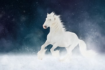 Image showing White Shire horse stallion runs gallop over star sky background