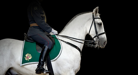 Image showing Rider on white Orlov Trotter horse, black background