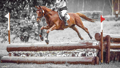 Image showing Rider jumps a horse during practice on cross country eventing course, duotone art