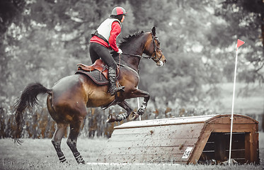 Image showing Young woman jumps a horse during practice on cross country eventing course, duotone art