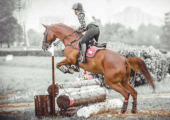 Image showing Young woman jumps a horse during practice on cross country eventing course, duotone art