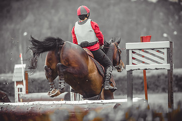 Image showing Young woman jumps a horse during practice on cross country eventing course, duotone art