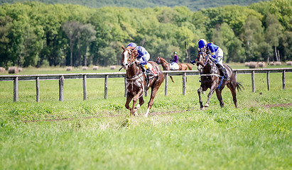Image showing two racing horse portrait in action