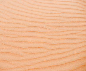 Image showing sand dune background