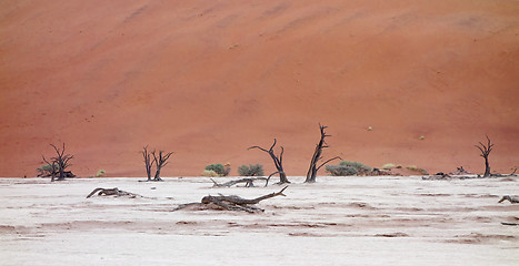 Image showing Sossusvlei, Namibia