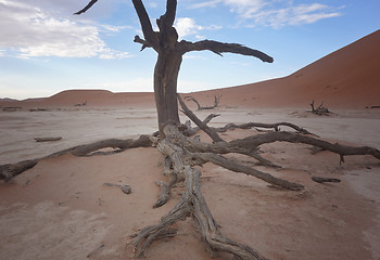 Image showing Sossusvlei, Namibia