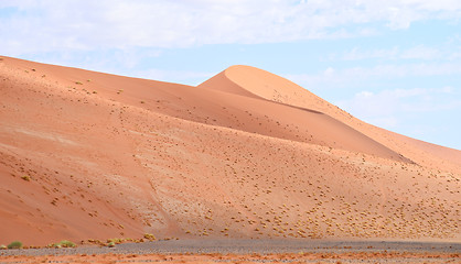 Image showing sand dunes