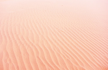 Image showing sand dune background