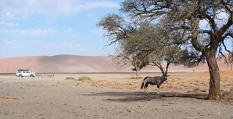 Image showing namibian landscape