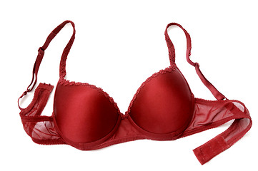Image showing Red bra