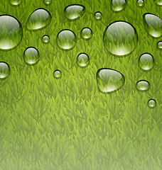 Image showing Eco friendly background with water drops on fresh green grass te