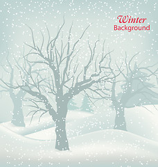 Image showing Winter Outdoor Background