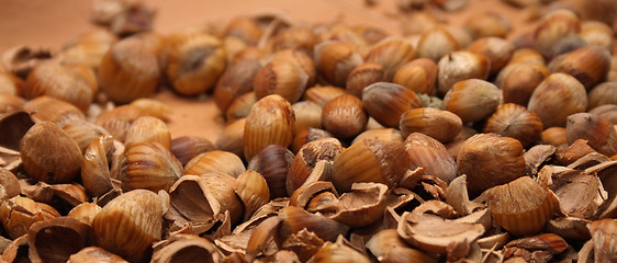 Image showing nuts