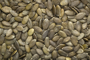 Image showing Pumpkin seeds