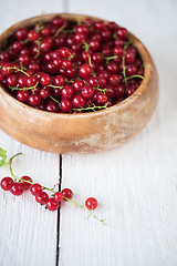 Image showing Fresh red currants