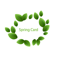 Image showing Spring freshness card made in eco green leaves, isolated on whit