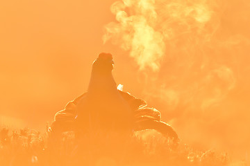 Image showing Black grouse breath fume at sunrise