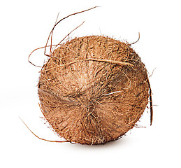 Image showing Coconut lying on the side of top