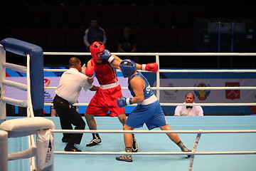 Image showing boxing hit jab and knockout