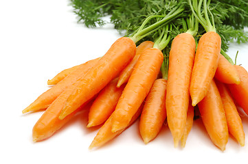 Image showing Carrots