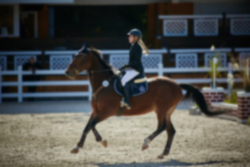 Image showing Equestrian Sports. Horse Jumping. Show. Photo blurred on purpose