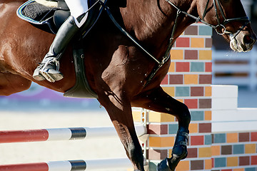 Image showing Rider on bay horse in competitions