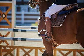 Image showing The Equestrian Sports