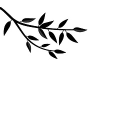 Image showing  Black Silhouette Branch Tree with Leafs