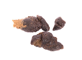 Image showing small poo