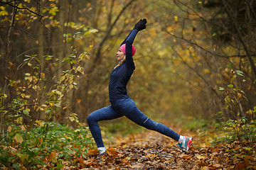 Image showing Girl at gym in forest