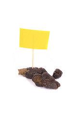 Image showing small poo