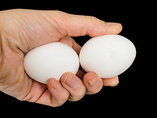 Image showing Closeup of a male hand, with a pair of white chicken eggs, isola