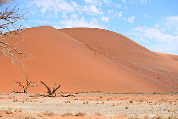 Image showing sand dunes