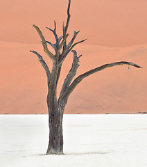 Image showing Sossusvlei, Namibia