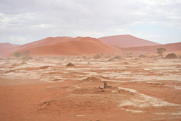 Image showing desert landscape