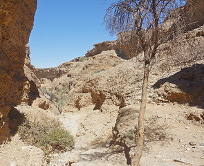 Image showing Sesriem, Canyon