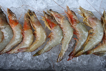 Image showing Giant freshwater prawn with ice 