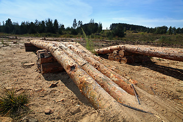 Image showing wooden logs like obstacle for test drive