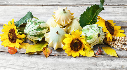 Image showing Autumn harvest vegetables